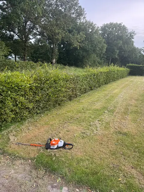 Gesnoeide haag langs het gazon