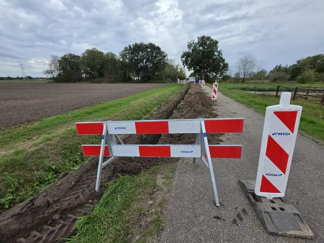 Afzetting bij de sleuf langs de weg