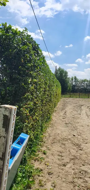 Sleuf langs de haag