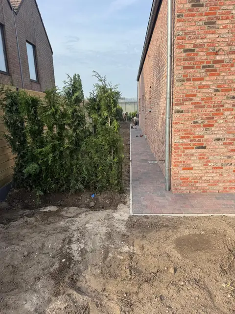 Smal pad tussen woning en haag