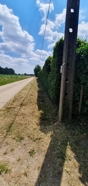 Sleuf langs de berm en de haag